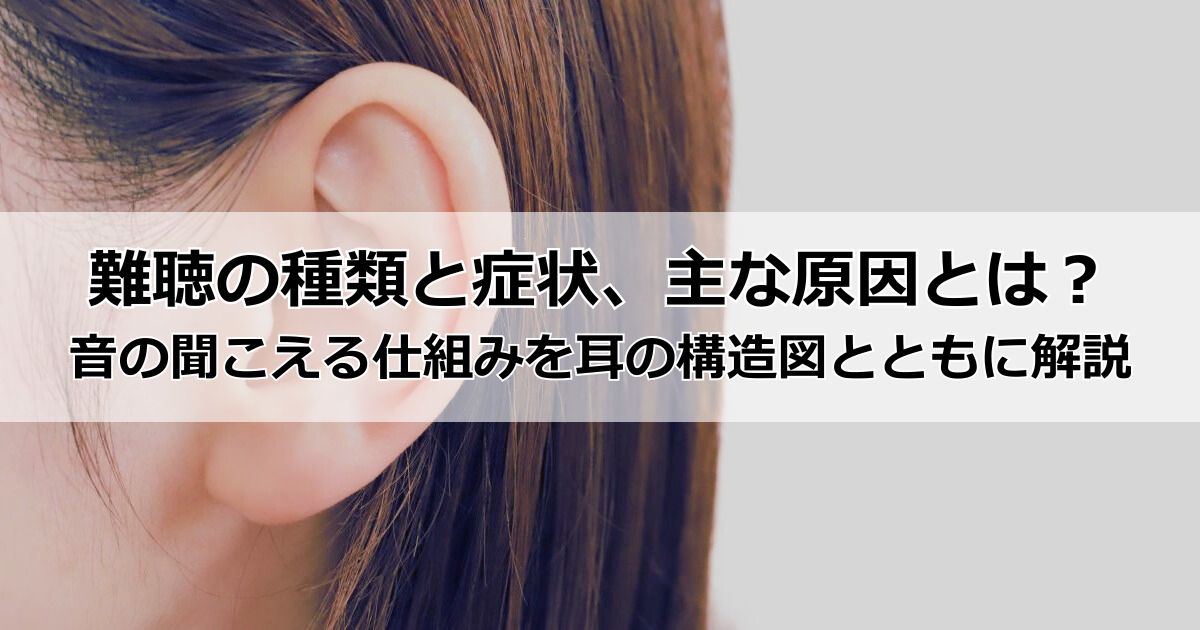 難聴の種類と症状、主な原因とは?音の聞こえる仕組みを耳の構造図とともに解説