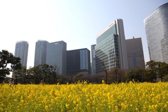 浜離宮恩賜庭園