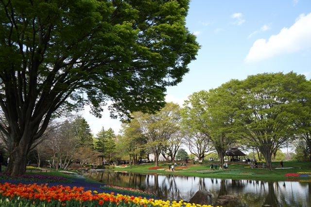 国営昭和記念公園